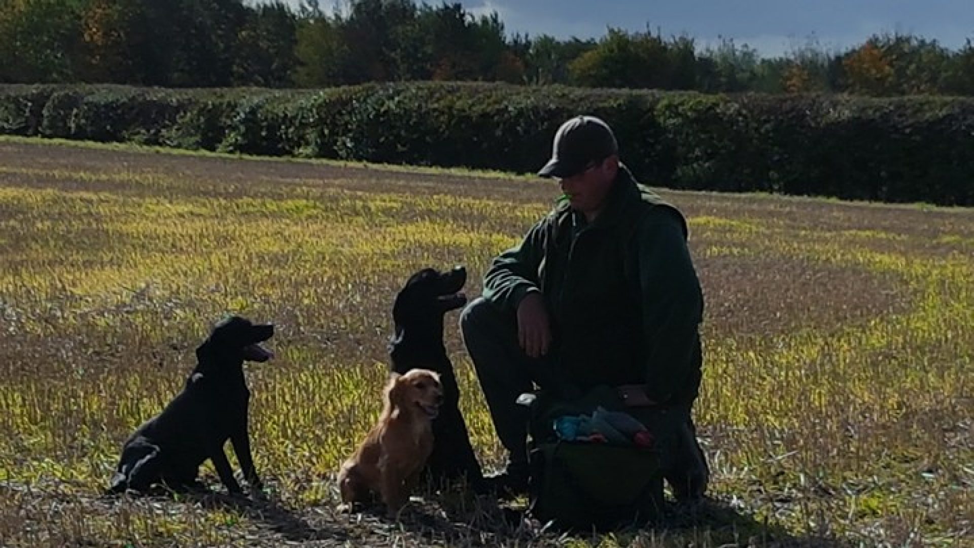 PSV Canine Services